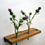 tt-shelves-web-01