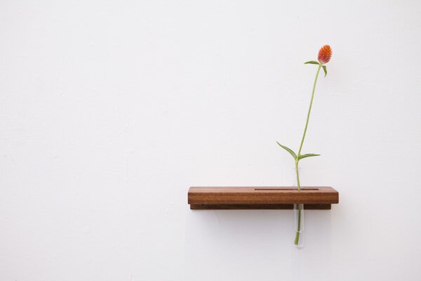 ttv3-web-mahogany-01