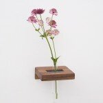 ttv3-web-walnut-sm-01
